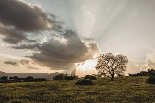 Contactar a un fotografo en Cercedilla