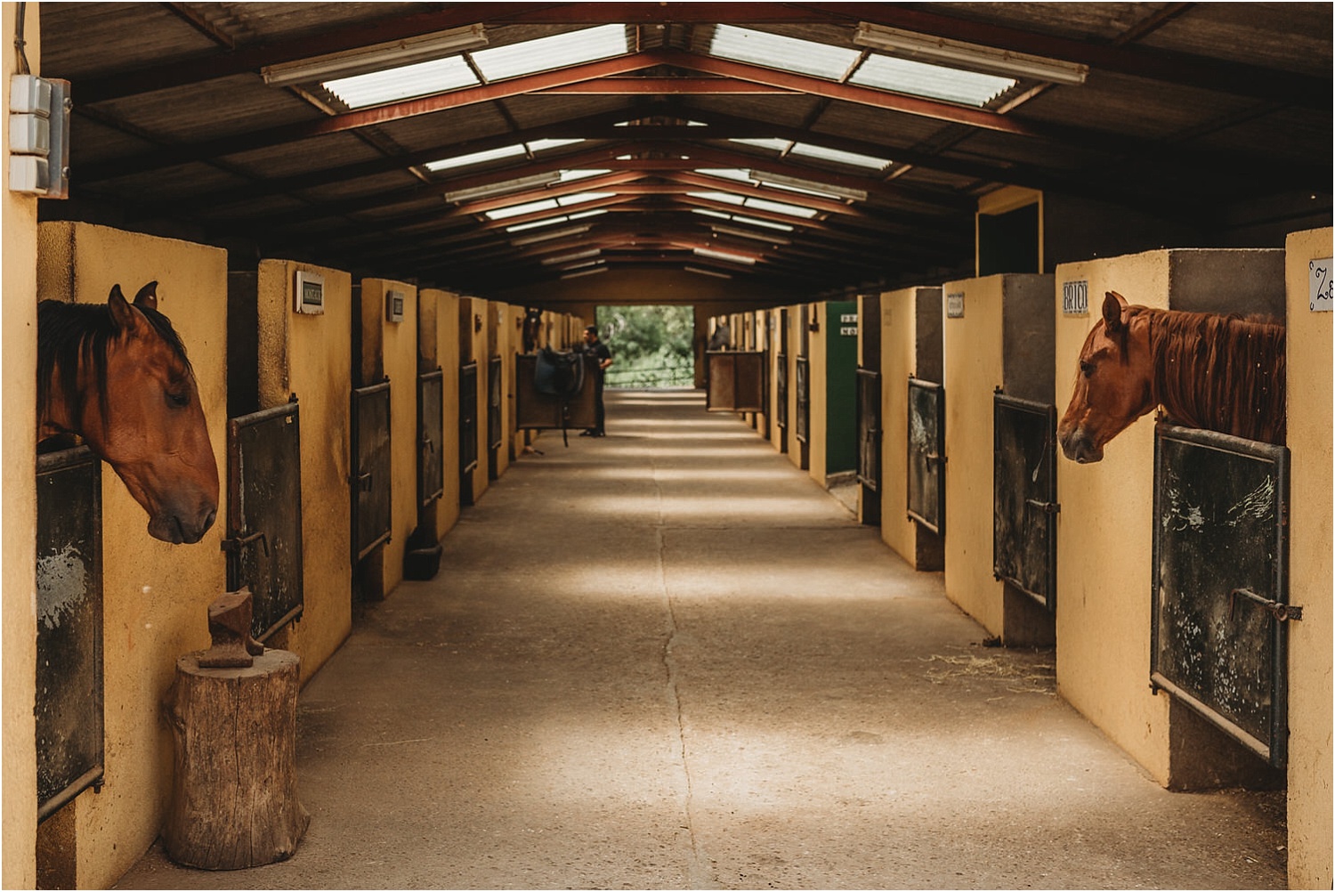 Sesión de preboda a caballo en Madrid