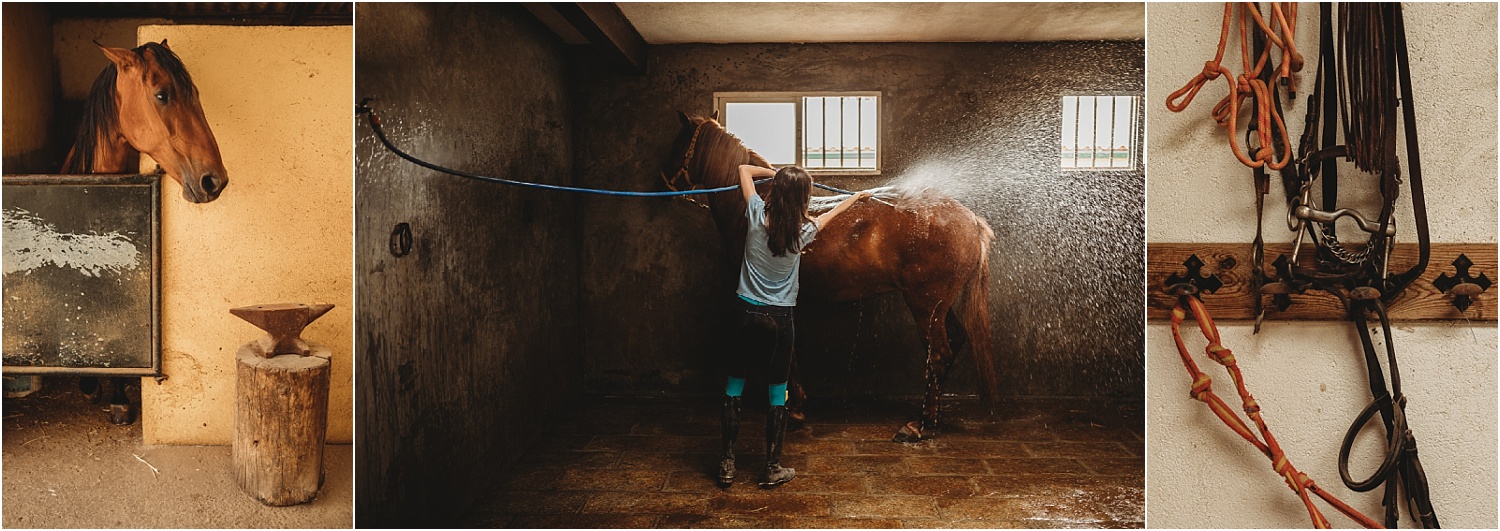 Sesión fotográfica en la hipica Prados Monteros