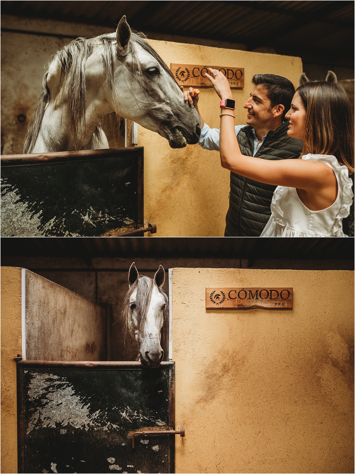Sesión fotográfica preboda a caballo en Los Molinos