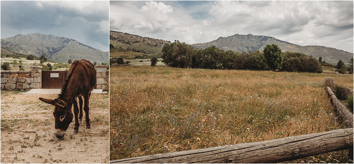 Fotografo de parejas en la Sierra de Guadarrama y la comunidad de Madrid.