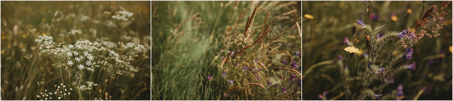 Detalles en Fotografía de pareja en la naturaleza