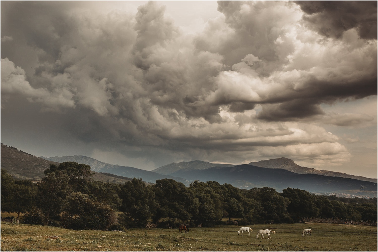 Preboda a caballo en Los Molinos.