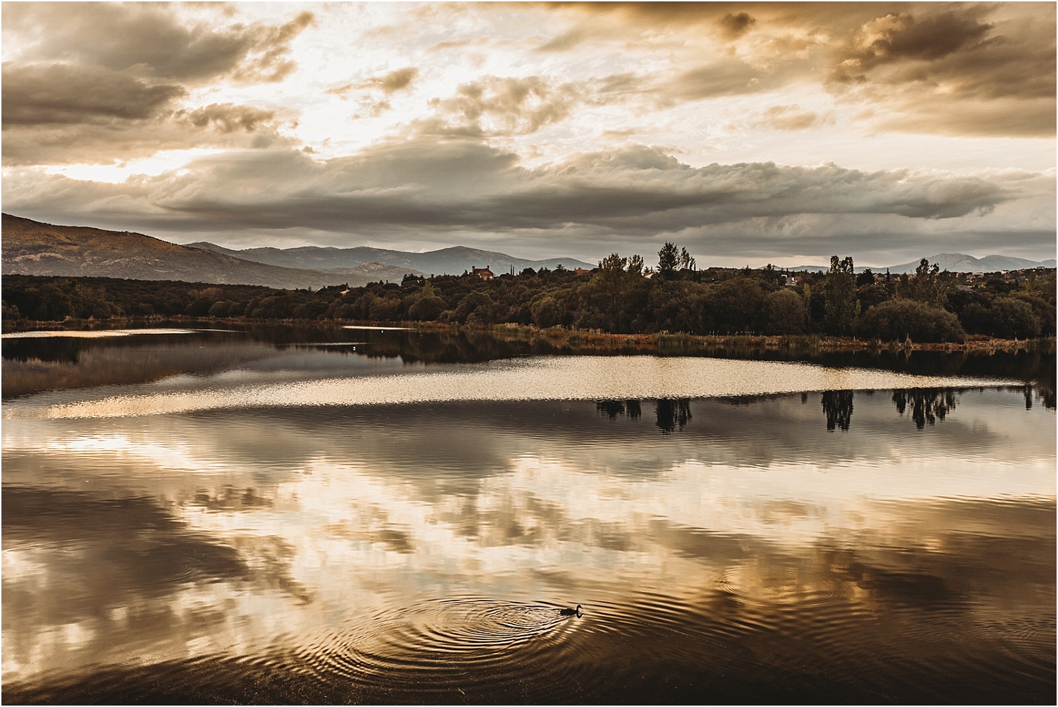 atardecer en un pantano