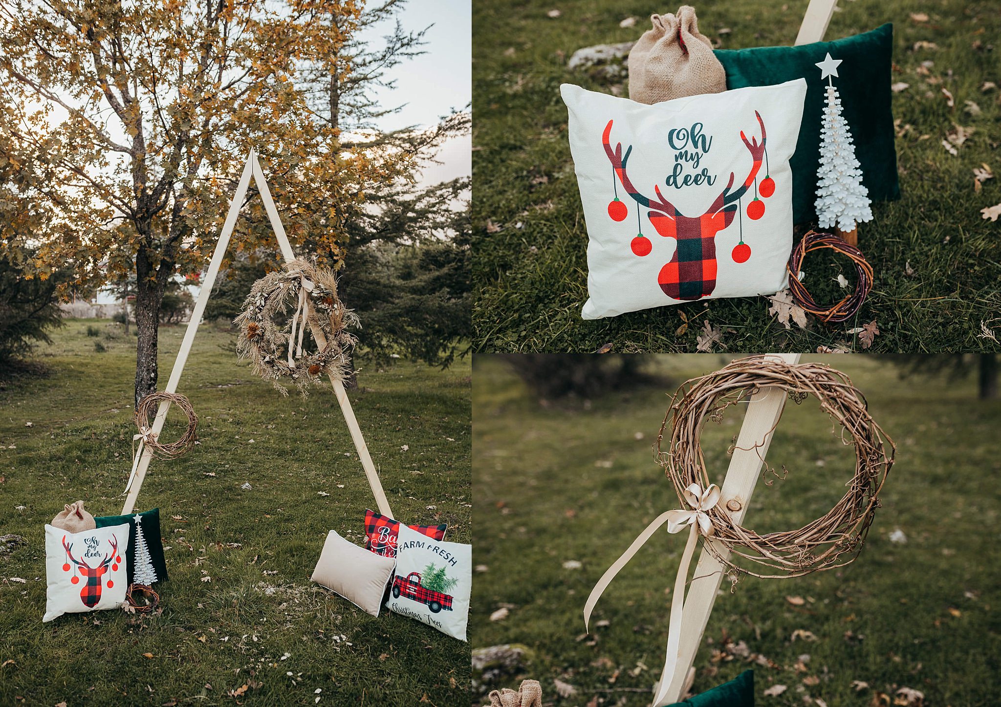 detalles de las mini sesiones de Navidad entre los pinos