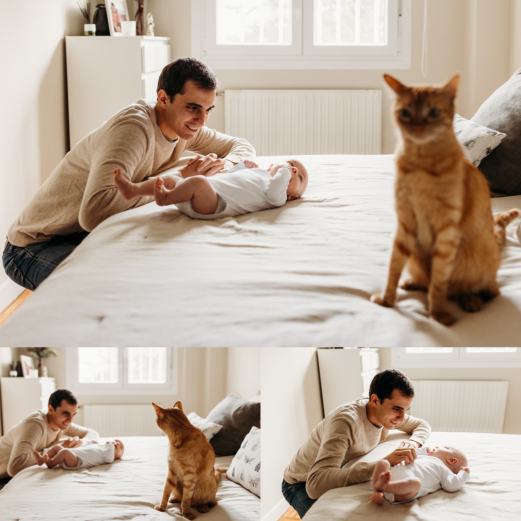 fotografías de mascotas y bebés a domicilio