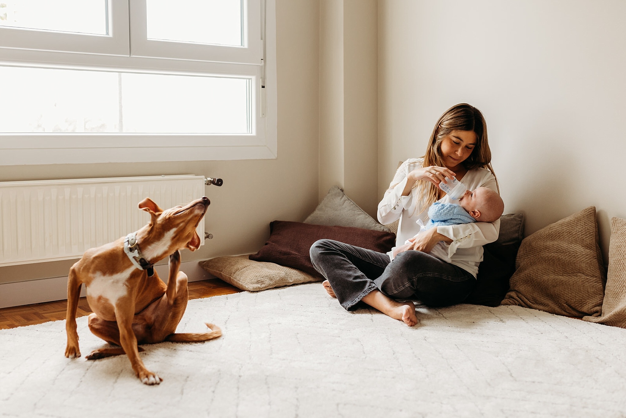 fotografías de mascotas y bebés a domicilio
