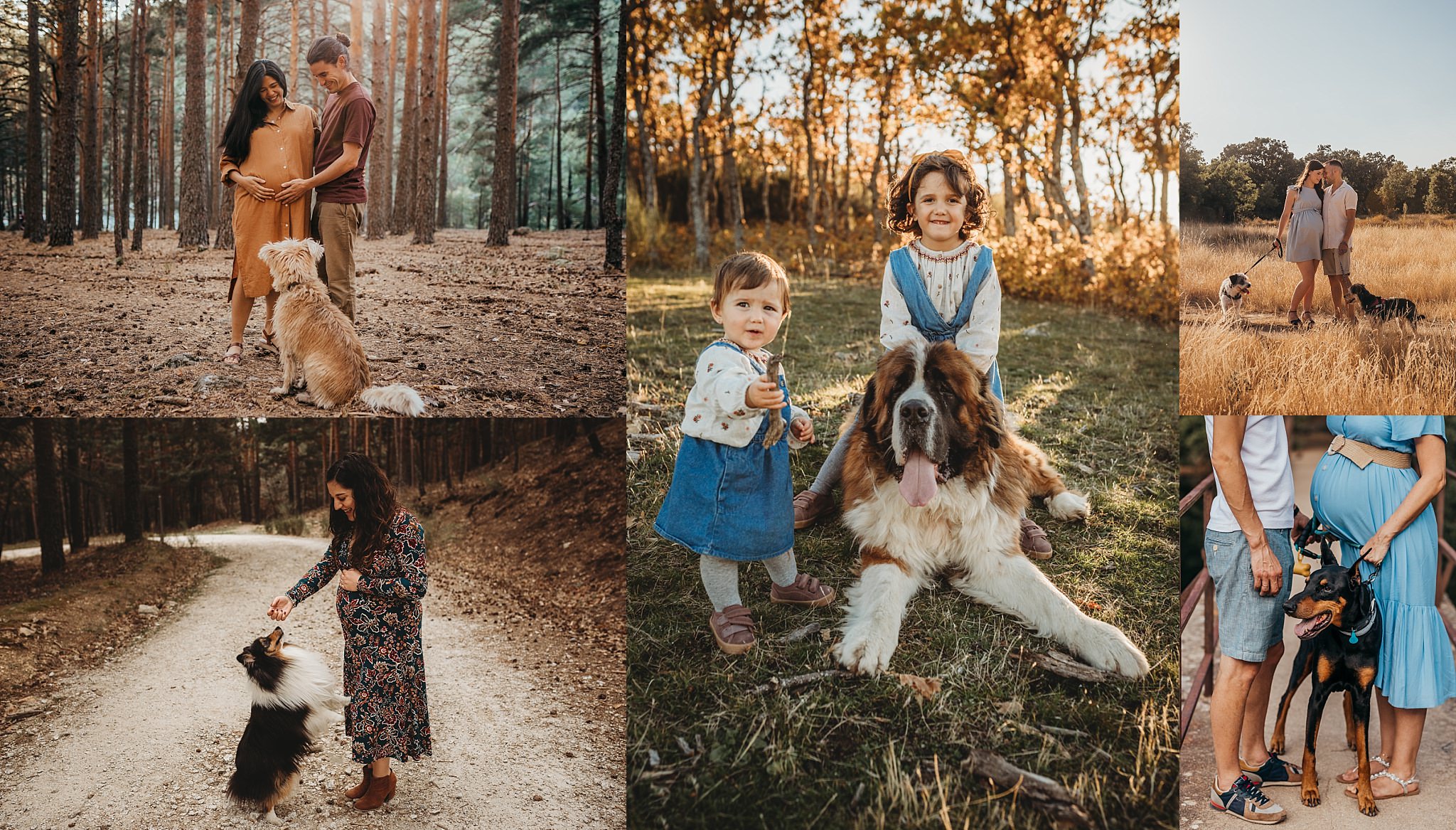 Sesión fotográfica con tu perro.